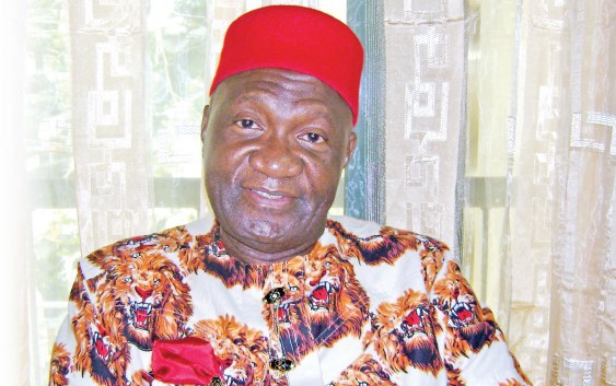Ohanaeze Ndigbo targets 2023 for presidency