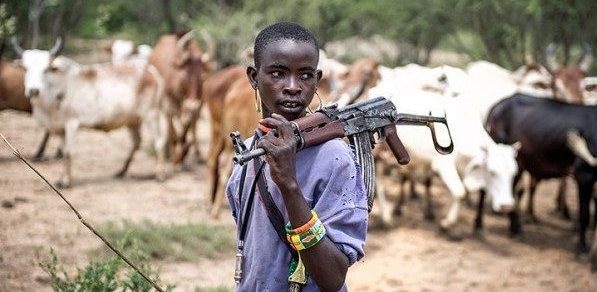 Nigeria, Niger partner to tackle menace of herdsmen