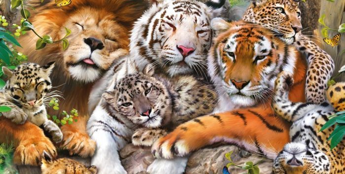 Big cats at risk of extinction –UN warns