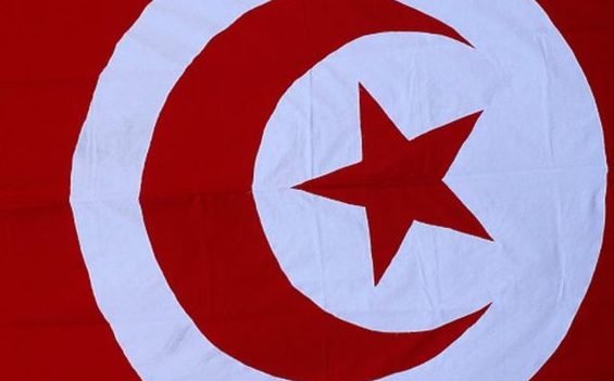 Tunisian health minister resigns over 11 baby deaths