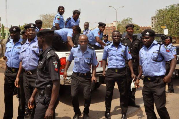 Nigeria Is Not Ready For State Police – Lawmaker
