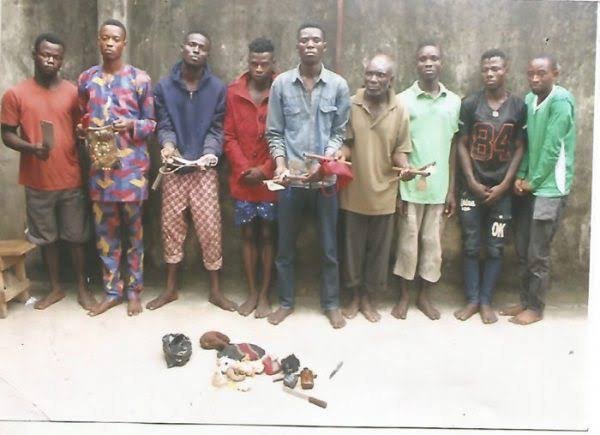 Police Arrest 9 Suspected Cultists In Ogun