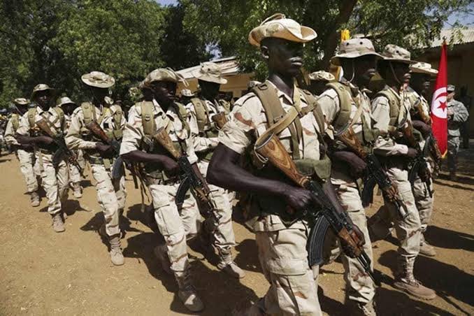 Again, Nigerian Troops Hit terrorists’ Meeting Venue, Kill Several Fighters In Borno