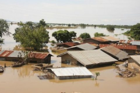 Benue Urban Devt Board Demolishes Illegal Structures In Makurdi Metropolis