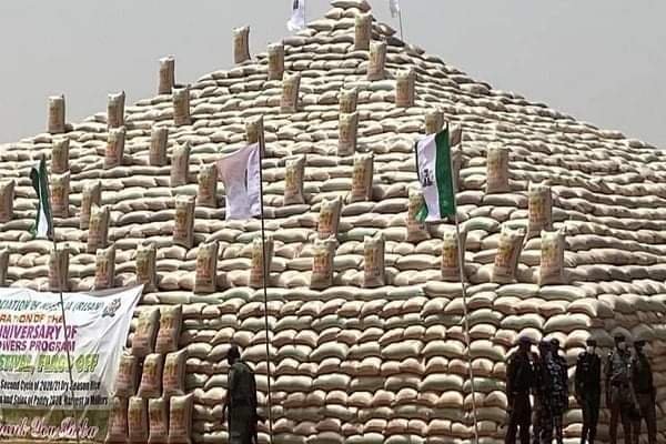 Buhari Unveils Rice Pyramids In Abuja, Commends CBN For Support To Farmers