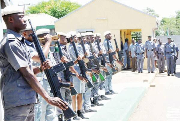 Customs Impounds N42m Worth Of Donkey Meat