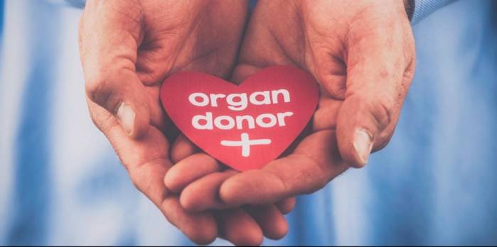 China’s Registered Organ Donors Exceed 6m