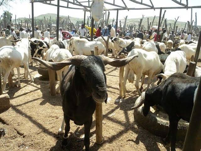 Eid-el-Kabir: I Spend N1m on Checkpoint Settlements From North To Calabar – Livestock Dealer