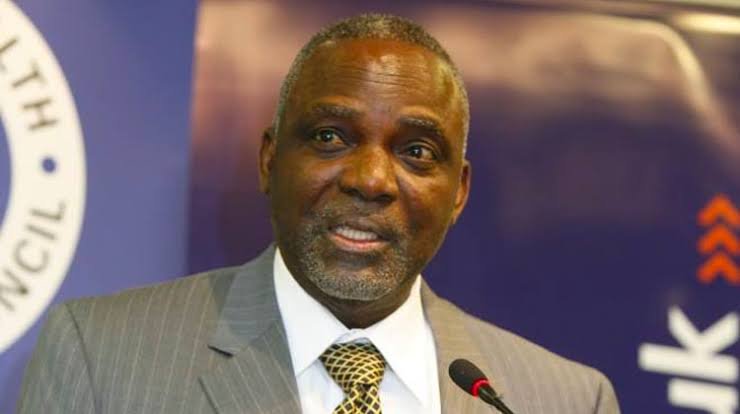 Diesel Suppliers, Generator Dealers Sabotaging Power Supply – Ex-Minister, Nnaji