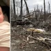 Baby Swept Away By Tornado Found Alive ‘By The Grace Of God’ In Unusual Spot