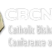 Blessing Same-sex Marriage Against God’s Law, Cultural Sensibilities Of Nigerians – Catholic Bishops