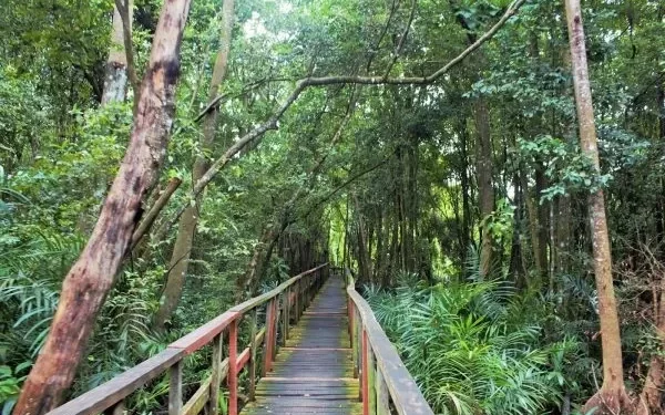 Lagos Government Closes Lekki Conservation Centre Over Safety Concerns