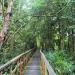 Lagos Government Closes Lekki Conservation Centre Over Safety Concerns