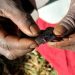 Man loses properties over wife’s refusal to undergo circumcision