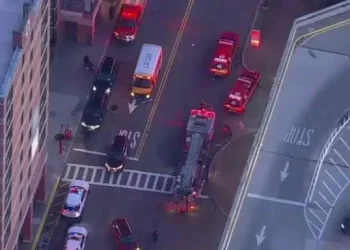 Massive Earthquake Hits New York, New Jersey, Virginia, Others