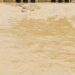 49 Killed, 79 Injured By Heavy Rains, Says Official