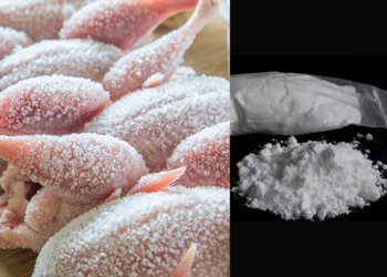 Man Arrested For Smuggling Cocaine In Frozen Chickens