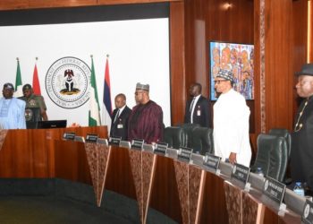 Former presidents, governors pass vote of confidence in Tinubu