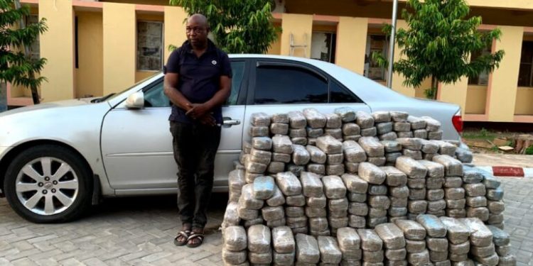 NDLEA Smashes Cocaine Syndicates, Intercepts Multi-Million Naira Illicit Drugs