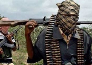 Gunmen Kidnap Over 20 Medical Students In Benue