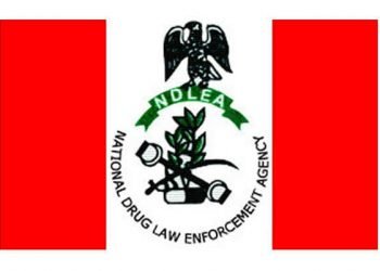Alt="National Drugs Law Enforcement Agency (NDLEA) Logo"