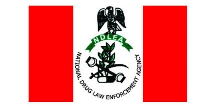 Alt="National Drugs Law Enforcement Agency (NDLEA) Logo"