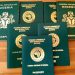 FG Approves Upward Review Of Nigerian Passport Fees