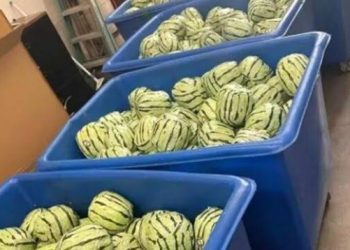U.S. Authorities Discover $5m Worth Of Meth Disguised As Watermelons
