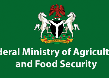 Inflation: Stakeholders Advocate Gender Sensitive Budget