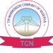 TCN Has Capacity To Transmit 6,000MW Of Electricity –MD
