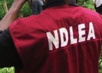 National Assembly Passes Bill For Life Imprisonment For Drug Traffickers