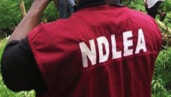 National Assembly Passes Bill For Life Imprisonment For Drug Traffickers