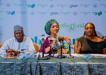 FG Partners Motherland, Moves To Create Diaspora City