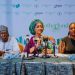 FG Partners Motherland, Moves To Create Diaspora City