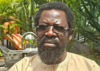Afenifere Was Not Founded For Yoruba People – Farotimi