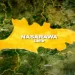 Two Brothers Drown In Abandoned Nasarawa Mining Site