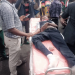 Oyo Govt Blames Traffic Violation for Police Shooting That Killed WAEC Candidate