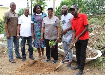 WED 2025: Experts Advocate Commercial Plastic Recycling, Tree Planting