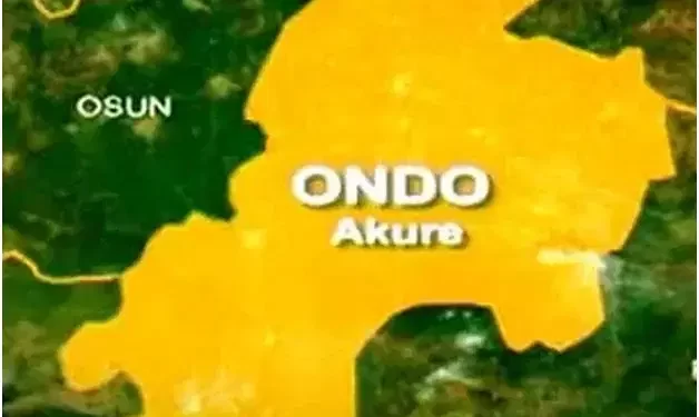 Ondo Police Bust Baby Factory, Rescue Victims, Arrest Suspects