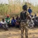 Troops Rescue 86 Victims, Nab 29 Terror Suspects In Borno