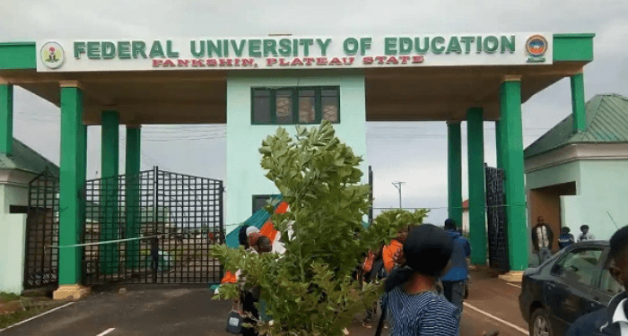 Court Jails Two For Forging Certificates At Plateau VVarsity