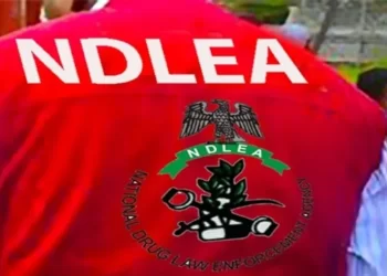 Suspect Who Murdered 3 NDLEA Officers Arrested After 12 Years