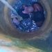 Tragedy: 2-Year-Old Boy Drowns In Well In Kano