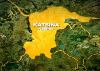 Katsina Inaugurates Committee To Drive Nigeria For Women Project