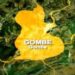 FG Allocates N6bn For 3 Mega Schools In Gombe State