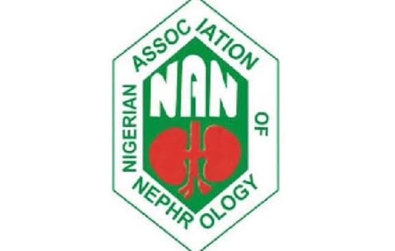11% Of Nigerians Have Kidney Disease – Experts