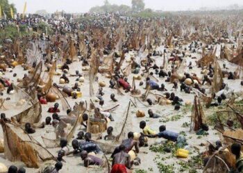 61st Argungu Festival: Over 50,000 Anxious Fishermen Enter River Ahead Of Tinubu’s Arrival