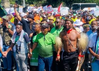 Protest Hits South Africa Streets Over Installation Of Nigerian King
