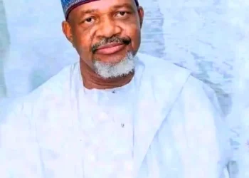 Kebbi Assembly Speaker, Usman-Zuru, Dies In Egypt