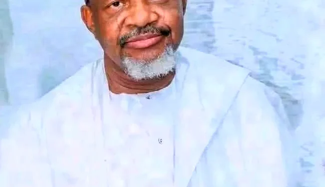 Kebbi Assembly Speaker, Usman-Zuru, Dies In Egypt